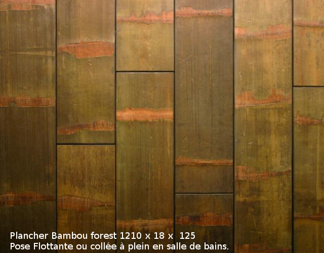 Bambou Forest